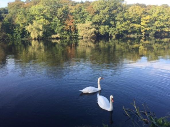 Innishannon House Hotel エクステリア 写真